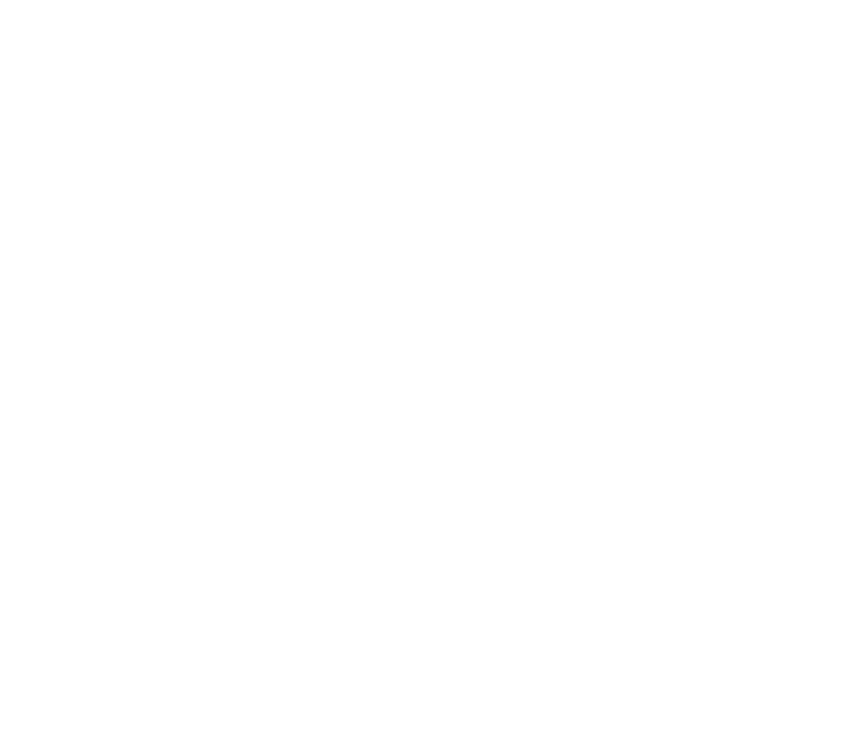 light logo